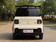 Geely Panda 210km Panda Kart - ფოტო 7
