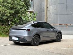Tesla Model Y Rear-Wheel Drive - ფოტო 7