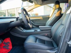Tesla Model 3 Facelift Standard Range RWD Upgrade 3D1 - ფოტო 10