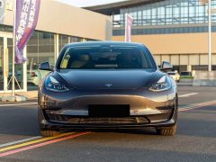 Tesla Model 3 Facelift Standard Range RWD Upgrade 3D1 - ფოტო 2