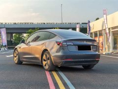 Tesla Model 3 Facelift Standard Range RWD Upgrade 3D1 - ფოტო 6