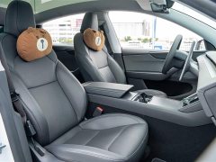 Tesla Model Y Rear-Wheel Drive - ფოტო 15