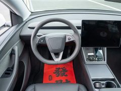 Tesla Model Y Rear-Wheel Drive - ფოტო 19
