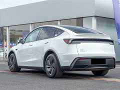 Tesla Model Y Rear-Wheel Drive - ფოტო 6
