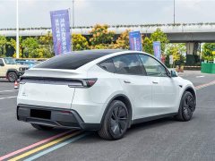 Tesla Model Y Rear-Wheel Drive - ფოტო 8