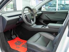 Tesla Model Y Rear-Wheel Drive - ფოტო 9