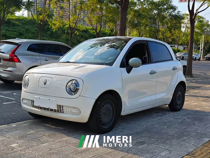 ORA Black Cat 301km Base - ავტომობილი ჩინეთიდან