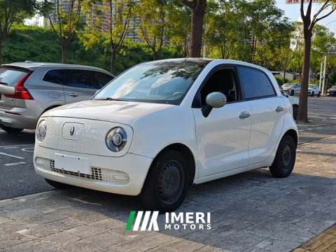 2021 ORA Black Cat 301km Base - ავტომობილი ჩინეთიდან