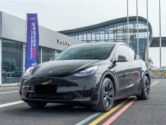 Tesla Model Y Rear-Wheel Drive - ფოტო 1