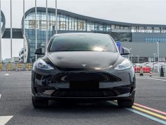 Tesla Model Y Rear-Wheel Drive - ფოტო 2