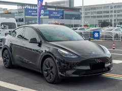 Tesla Model Y Rear-Wheel Drive - ფოტო 3
