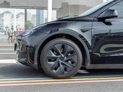 Tesla Model Y Rear-Wheel Drive - ფოტო 4