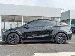 Tesla Model Y Rear-Wheel Drive - ფოტო 5