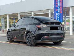 Tesla Model Y Rear-Wheel Drive - ფოტო 6
