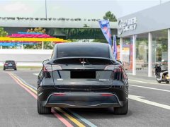 Tesla Model Y Rear-Wheel Drive - ფოტო 7