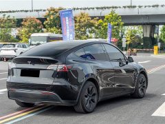 Tesla Model Y Rear-Wheel Drive - ფოტო 8