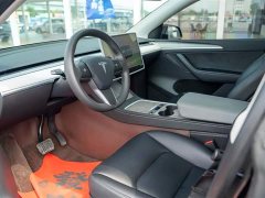 Tesla Model Y Rear-Wheel Drive - ფოტო 9