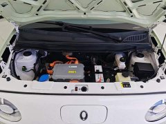 Ora Black Cat 2022 351km Standard Edition Ternary Lithium - ფოტო 10
