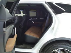 BYD Yuan Plus DM-i 2021 112KM Premium Edition - ფოტო 11