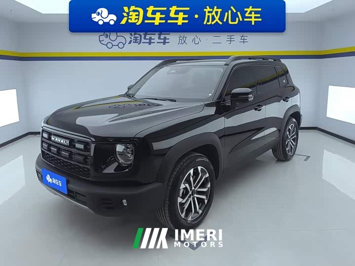 Great Wall Dachshund 1.5T DCT Border Collie Edition - ავტომობილი ჩინეთიდან