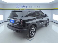 Great Wall Dachshund 1.5T DCT Border Collie Edition - ფოტო 3