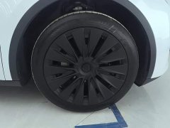 Tesla Model Y Rear-Wheel Drive - ფოტო 6