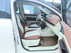 ORA Good Cat 401km Standard Range Deluxe Ternary Lithium - ფოტო 8