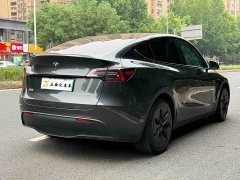 Tesla Model Y Rear-Wheel Drive - ფოტო 10