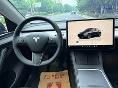 Tesla Model Y Rear-Wheel Drive - ფოტო 15