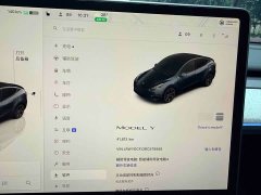 Tesla Model Y Rear-Wheel Drive - ფოტო 18