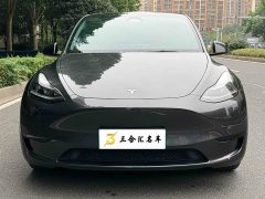 Tesla Model Y Rear-Wheel Drive - ფოტო 2