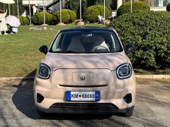 Leapmotor T03 310 Lite Enjoy Edition - ფოტო 2