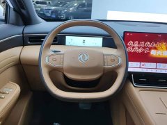 Dongfeng Fengshen L8 112KM Ideal Edition - ფოტო 15
