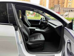 Tesla Model Y Rear-Wheel Drive - ფოტო 11