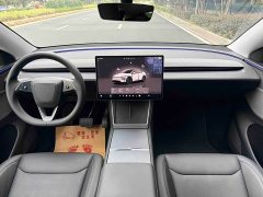 Tesla Model Y Rear-Wheel Drive - ფოტო 13