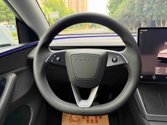 Tesla Model Y Rear-Wheel Drive - ფოტო 14