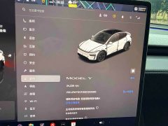 Tesla Model Y Rear-Wheel Drive - ფოტო 18