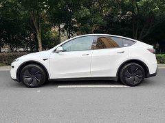 Tesla Model Y Rear-Wheel Drive - ფოტო 5