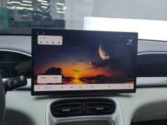 Geely Xing Yuan 310km Dream Edition - ფოტო 13