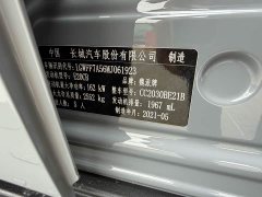 Tank 300 Off-Road Edition 2.0T Conqueror - ფოტო 20