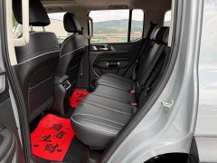Tank 300 Off-Road Edition 2.0T Conqueror - ფოტო 5