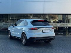 Porsche Cayenne 3.0T Platinum Edition - ფოტო 7