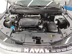 Haval Xiaolong MAX Hi4 110 Pro - ფოტო 10