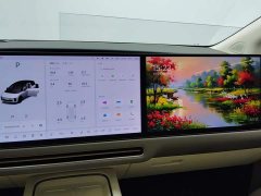 Li Auto i8 Standard Edition - ფოტო 13