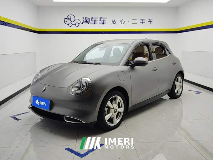 ORA Good Cat 401km Standard Range Luxury LFP - ავტომობილი ჩინეთიდან
