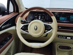 ORA Good Cat 401km Standard Range Luxury LFP - ფოტო 15