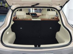 ORA Good Cat 401km Standard Range Luxury LFP - ფოტო 4