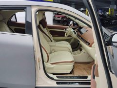 ORA Good Cat 401km Standard Range Luxury LFP - ფოტო 8