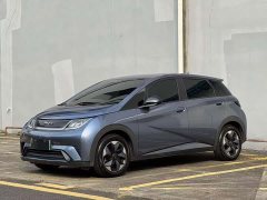 BYD Dolphin 420km Freedom Edition - ფოტო 1