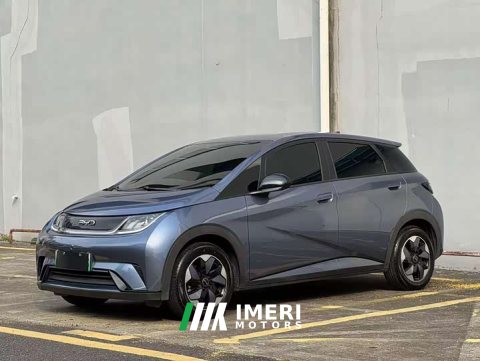 2025 BYD Dolphin 420km Freedom Edition - ავტომობილი ჩინეთიდან